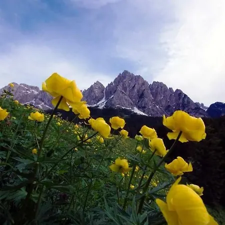 Apartamento Annarita Sappada