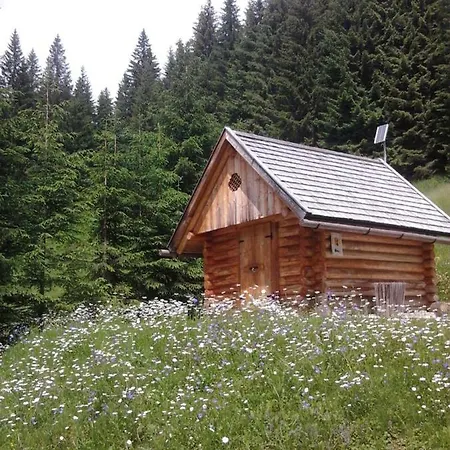 Apartamento Annarita Sappada