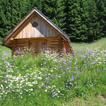 Annarita Apartamento Sappada