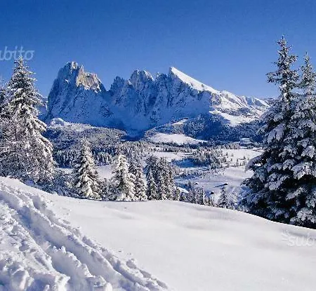 Apartamento Annarita Sappada