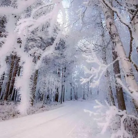 Appartamento Annarita *